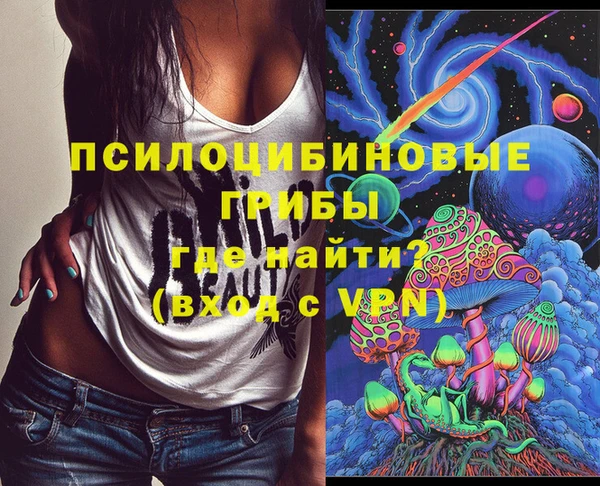 твердый Ижевск