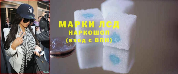 mdpv Бородино